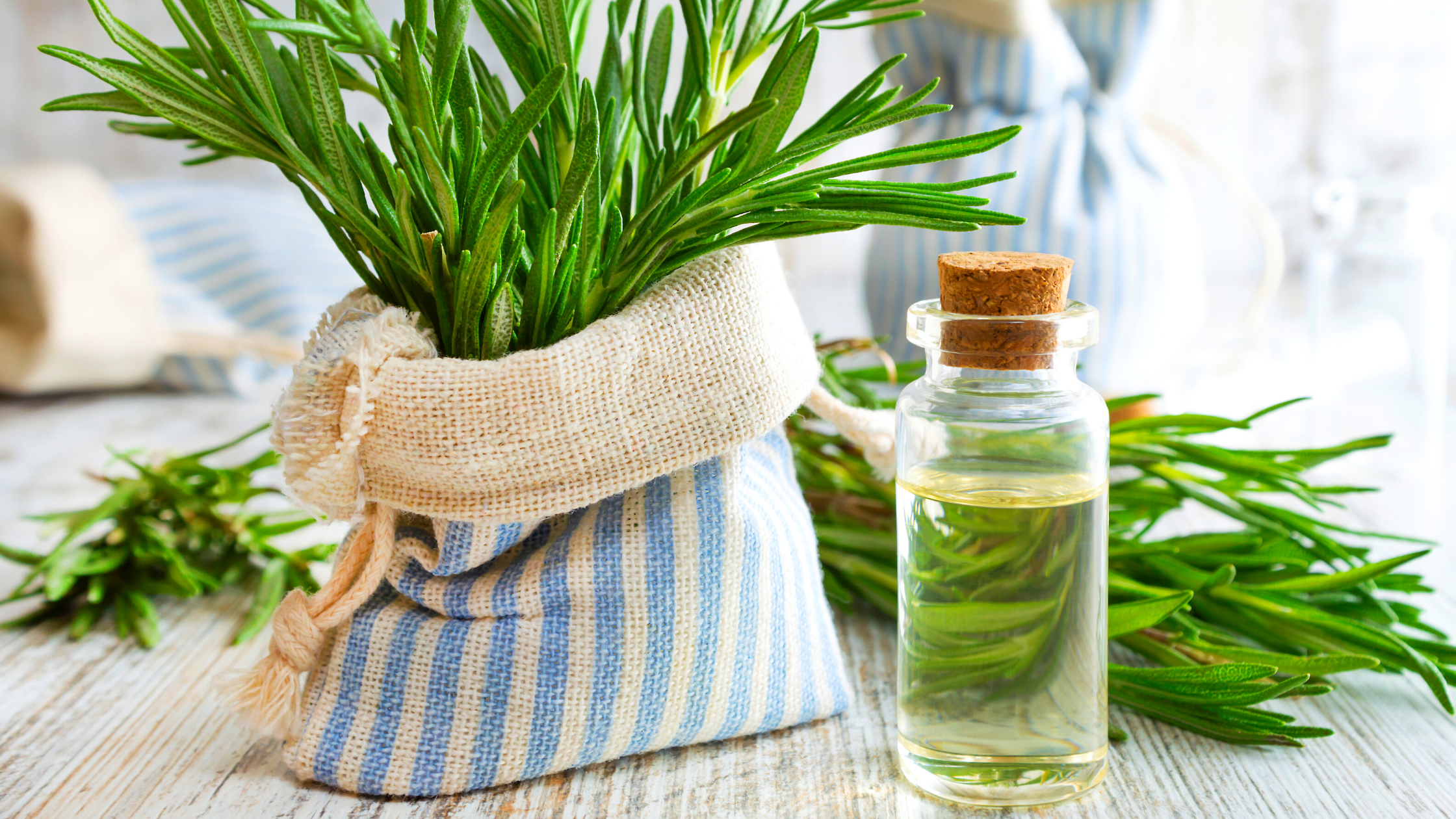 Rosemary Essential Oil Blend for Inflammation, Anxiety, & Stress