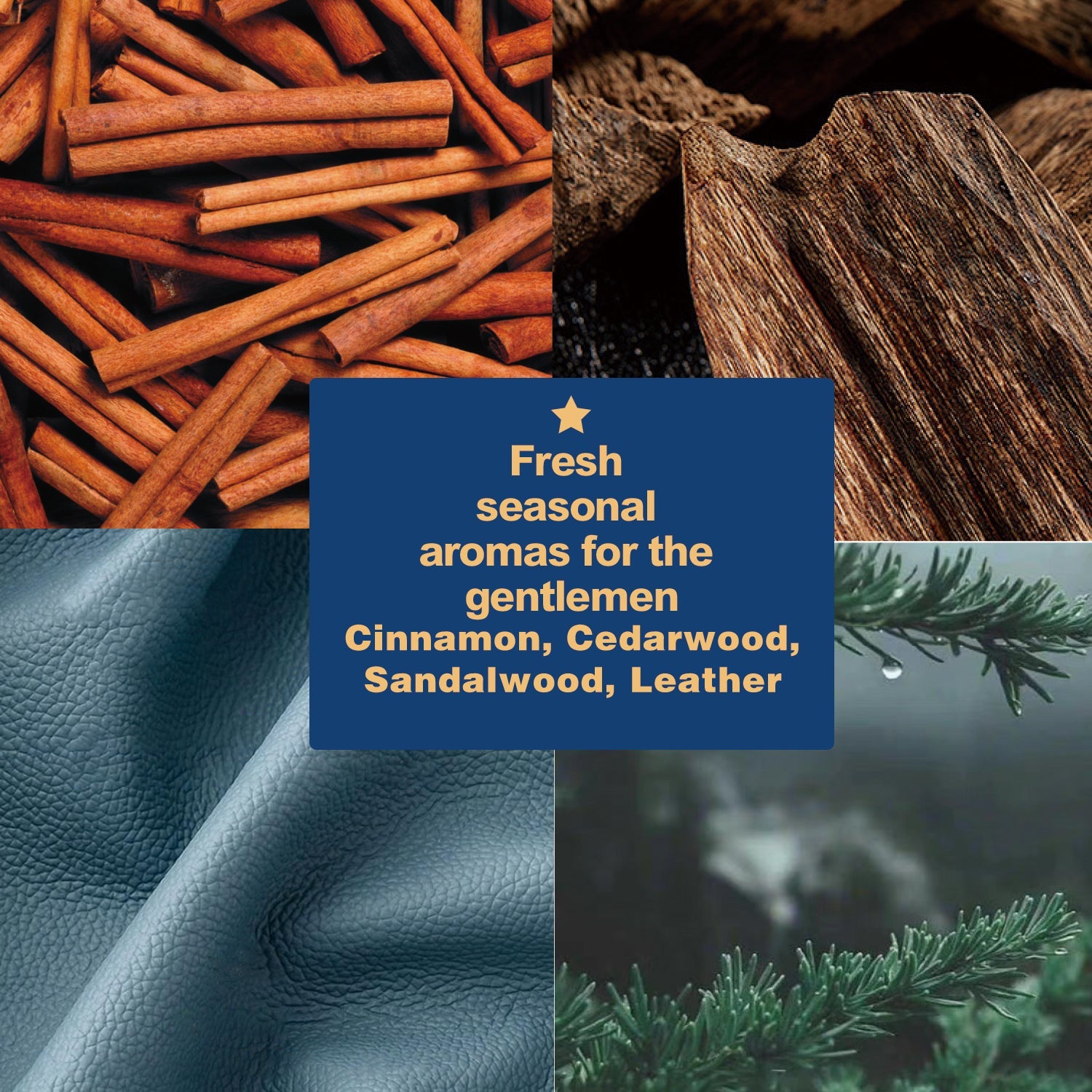 Body & Earth Inc Advent Calendar 2024 Christmas Gifts Sets for Men, Countdown Surprise Xmas Gift Idea